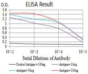Mouse Monoclonal Antibody to P2RY8