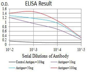Mouse Monoclonal Antibody to P2RY8