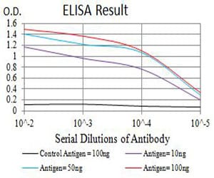 Mouse Monoclonal Antibody to AQP2