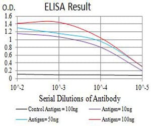 Mouse Monoclonal Antibody to CHRNB4