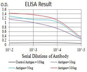 Mouse Monoclonal Antibody to CHRNB4