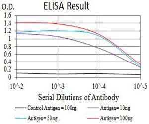 Mouse Monoclonal Antibody to BCL6