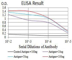 Mouse Monoclonal Antibody to P2RY1