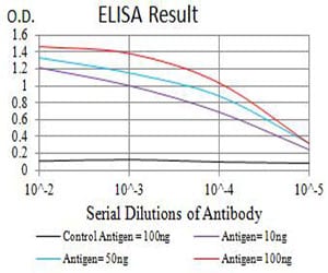 Mouse Monoclonal Antibody to CD147