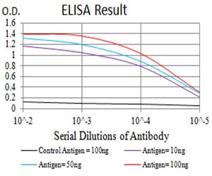 Mouse Monoclonal Antibody to P2RY4