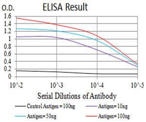 Mouse Monoclonal Antibody to P2RY14