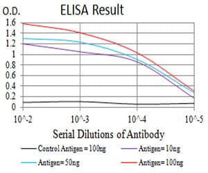 Mouse Monoclonal Antibody to P2RY14