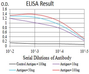 Mouse Monoclonal Antibody to Dynamin-2