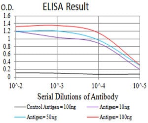 Mouse Monoclonal Antibody to Dynamin-2