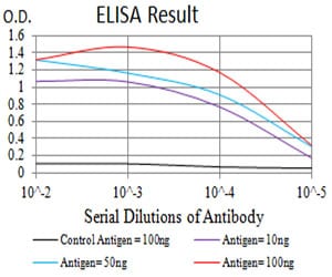 Mouse Monoclonal Antibody to CD207