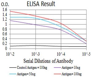 Mouse Monoclonal Antibody to CD172A