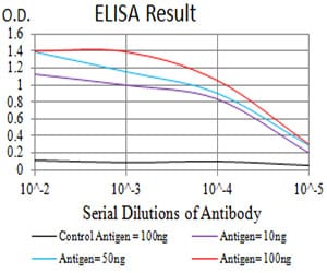 Mouse Monoclonal Antibody to GRM2