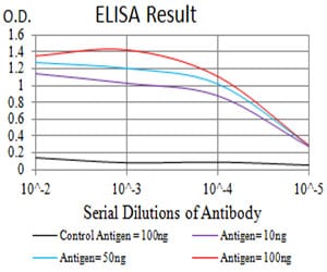 Mouse Monoclonal Antibody to CD10