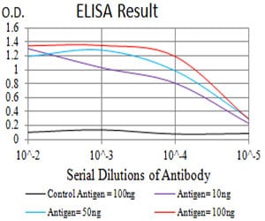 Mouse Monoclonal Antibody to CD10
