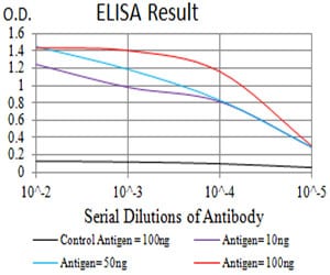 Mouse Monoclonal Antibody to CD166