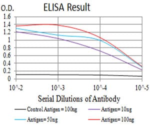 Mouse Monoclonal Antibody to CD104