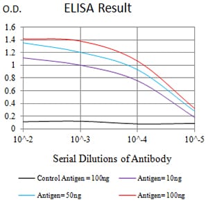 Mouse Monoclonal Antibody to CD137