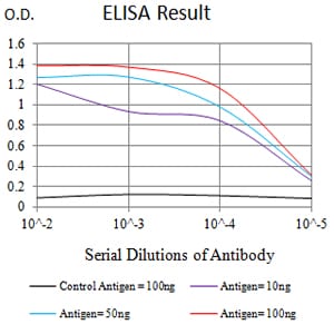 Mouse Monoclonal Antibody to CD209