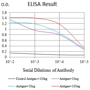 Mouse Monoclonal Antibody to CD209