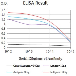 Mouse Monoclonal Antibody to CD183