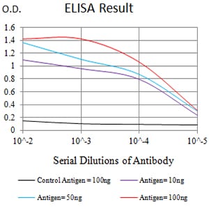 Mouse Monoclonal Antibody to CD183