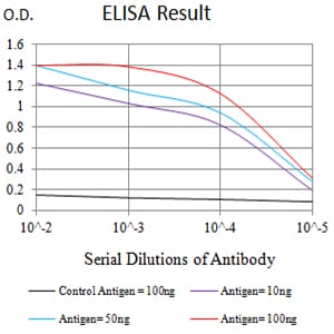 Mouse Monoclonal Antibody to CD158E1