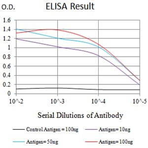 Mouse Monoclonal Antibody to CD158E1