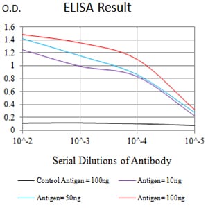 Mouse Monoclonal Antibody to OX40