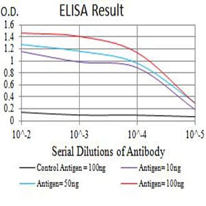Mouse Monoclonal Antibody to CD172A