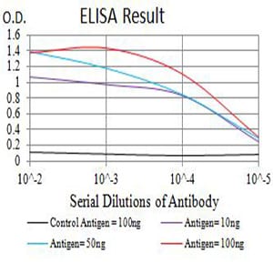 Mouse Monoclonal Antibody to CD107b