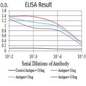 Mouse Monoclonal Antibody to CD107b