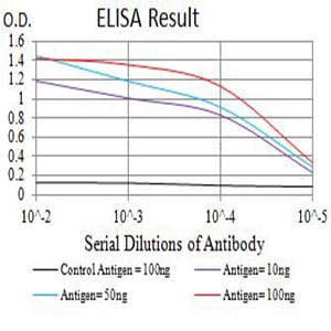 Mouse Monoclonal Antibody to APAF1