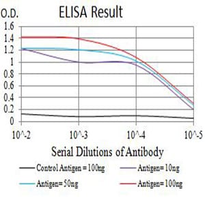 Mouse Monoclonal Antibody to CD119