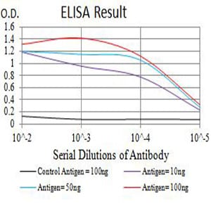 Mouse Monoclonal Antibody to ACTR3