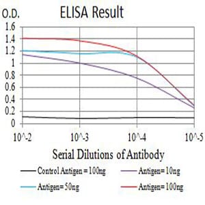 Mouse Monoclonal Antibody to ACTR3