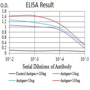 Mouse Monoclonal Antibody to CD16