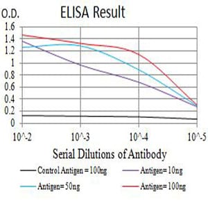 Mouse Monoclonal Antibody to CD122