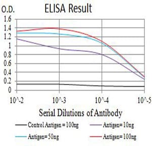 Mouse Monoclonal Antibody to CD122