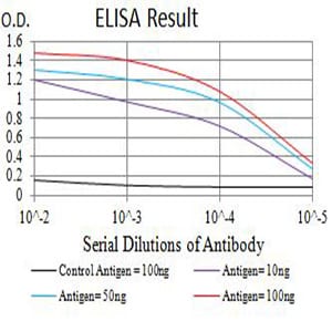 Mouse Monoclonal Antibody to CD191
