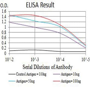 Mouse Monoclonal Antibody to CD191