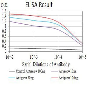 Mouse Monoclonal Antibody to FOLR1