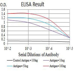 Mouse Monoclonal Antibody to PSMA