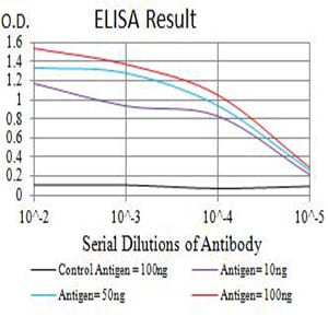 Mouse Monoclonal Antibody to BAG1