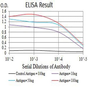 Mouse Monoclonal Antibody to APAF1
