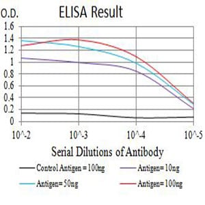 Mouse Monoclonal Antibody to CD1C