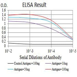Mouse Monoclonal Antibody to CD1C