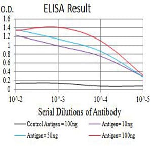 Mouse Monoclonal Antibody to CD3G