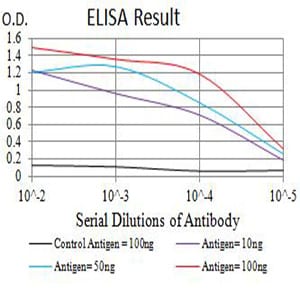 Mouse Monoclonal Antibody to CD11C