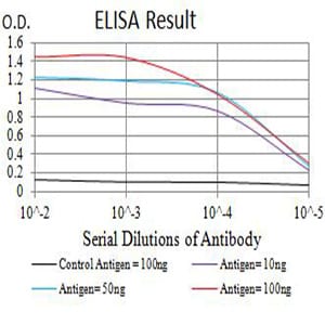 Mouse Monoclonal Antibody to CD161