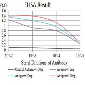 Mouse Monoclonal Antibody to GRM8